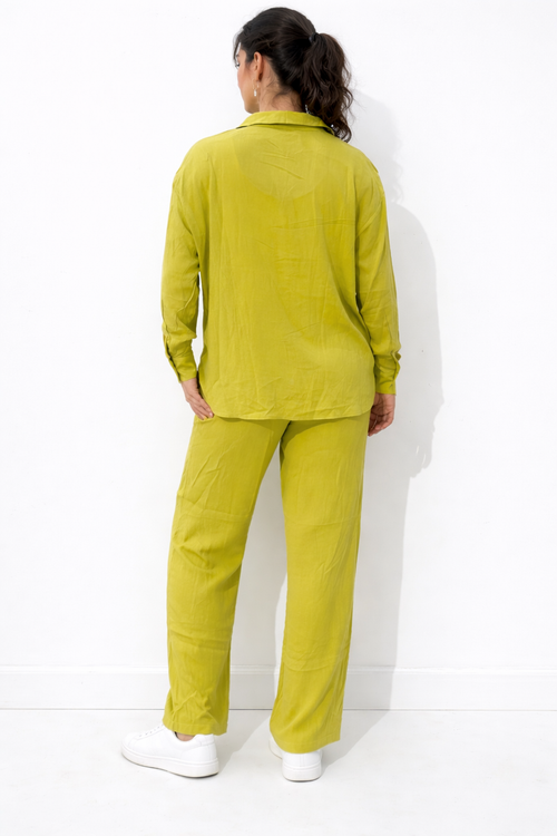 Button Down Shirt – Kiwi - HD41